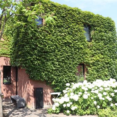 Woning Te huur Reet